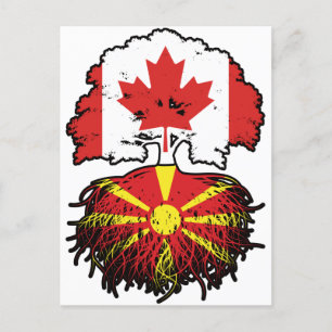 Cartão Postal Raízes de Árvores do Canadá macedônio