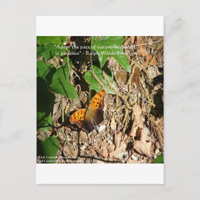 Cartão Postal Ralph W Emerson "Pace Of Nature" Wisdom Cote Gift (Frente)