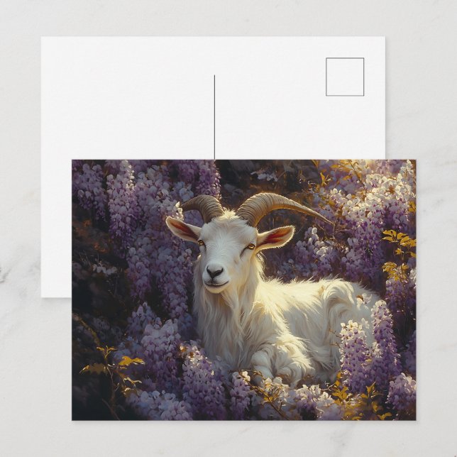 Cartão Postal Ram Dormindo em Flores de Wisteria (Frente/Verso)