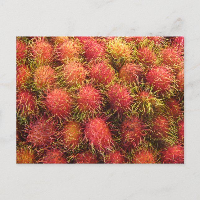 Cartão Postal Rambutan Tropical Fruta (Frente)
