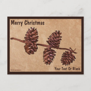 Cartão Postal Ramificação Pine Cone em Papel Antigo