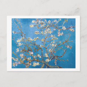 Cartão Postal Ramificações com Almond Blossom Van Gogh