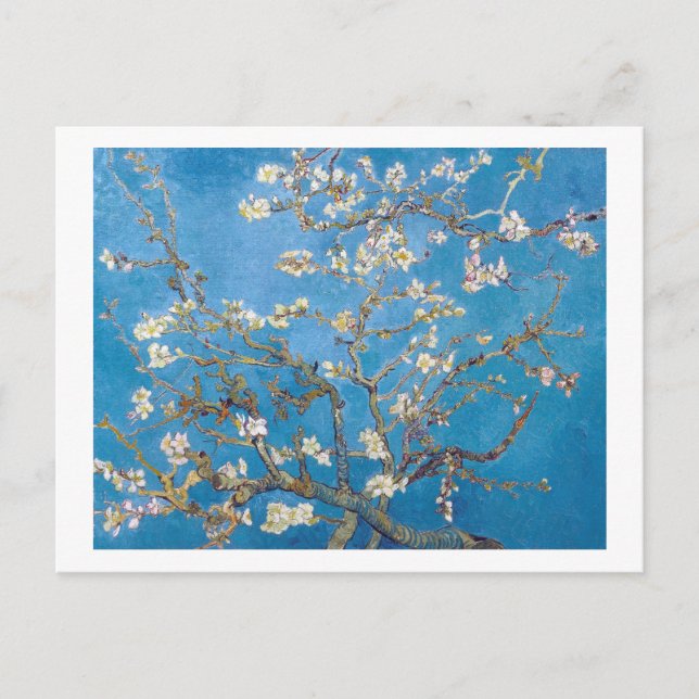 Cartão Postal Ramificações com Almond Blossom Van Gogh (Frente)