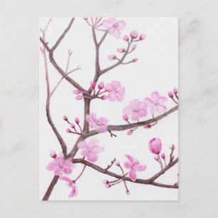 Cartão Postal Ramo de árvore florescendo com flores rosa no prim