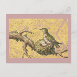 Cartão Postal Ramo de Ovos do Ninho do Hummingbird Verde