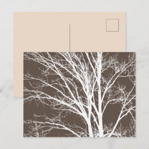 Cartão Postal Ramos de Árvores Brancas Rustic Brown