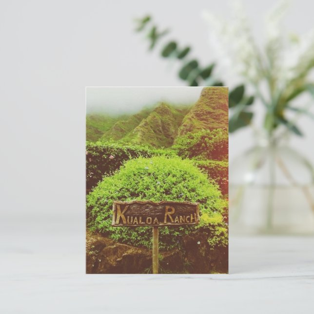 Cartão Postal Ranch Kualoa (Em pé/Frente)