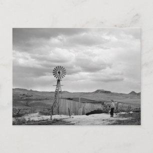 Cartão Postal Rancho de Ovelhas de Montana, 1942