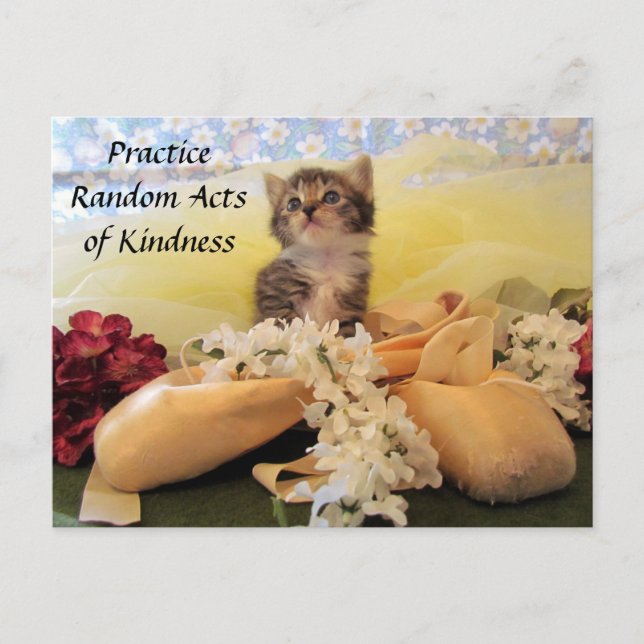 Cartão Postal Random Act of Kindess - Ballerina Cat (Frente)