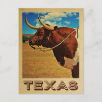 Ranhura de Bovinos de Viagens vintage Bull do Texa
