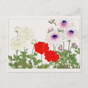 Cartão Postal Ranunculus de Tanigami Konan