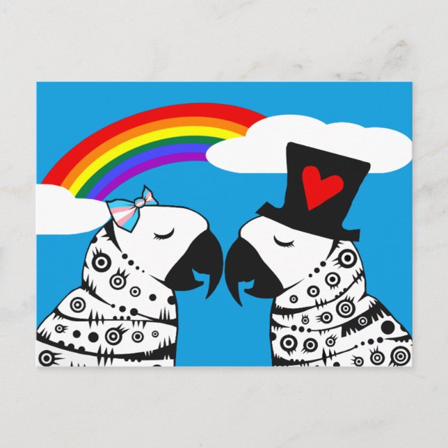 Cartão Postal Rapariga de papagaio transgênero com Namorado (Frente)