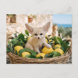 Cartão Postal Rapariga Raposa Fennec Sentada em Cesto de Limões