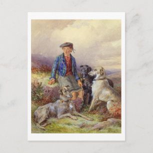 Cartão Postal Rapaz escocês com lobos numa região de Highland