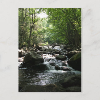 Cartão Postal Rapídeos