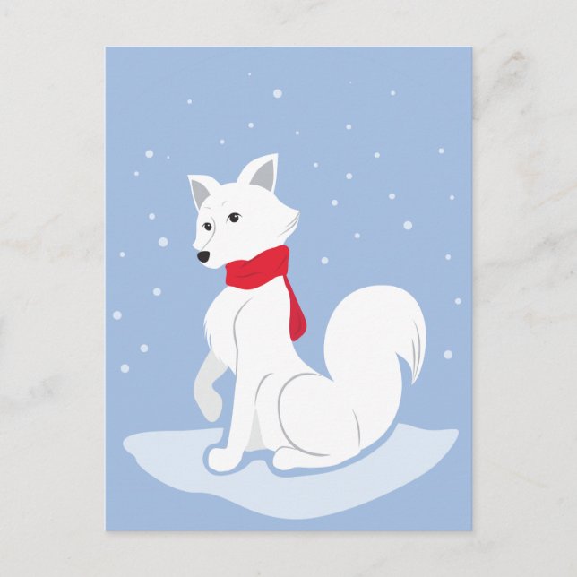 Cartão Postal Raposa Árctica (Frente)