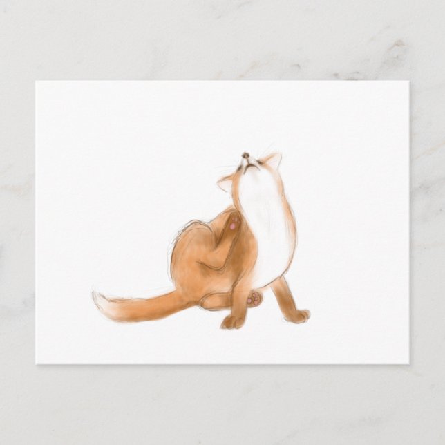 Cartão Postal Raposa coçando (Frente)