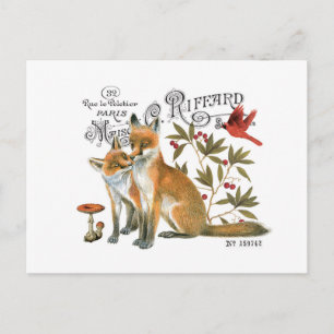 Cartão Postal raposa da floresta tradicional moderna