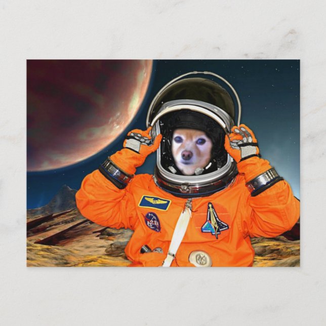 Cartão Postal Raposa É Um Astronauta #2 (Frente)