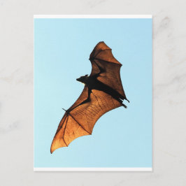 Cartão Postal Raposa voadora assustadora de halloween (morcego f