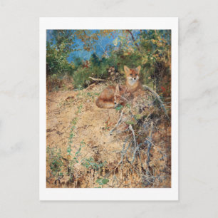 Cartão Postal Raposas, Bruno Liljefors