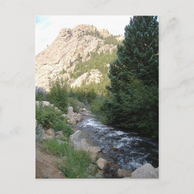 Cartão Postal Raposas de Montanha (Frente)