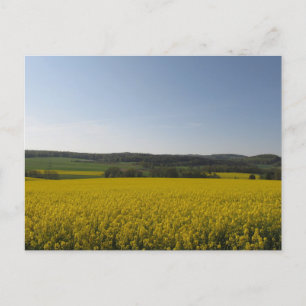 Cartão Postal Rapsfeld