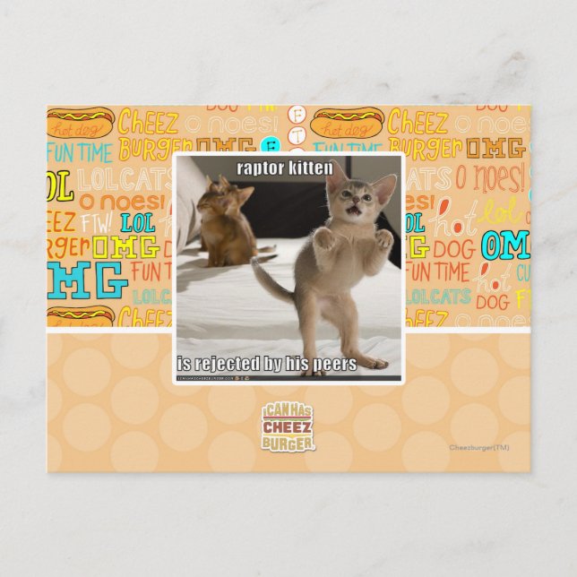 Cartão Postal Raptor Kitten (Frente)