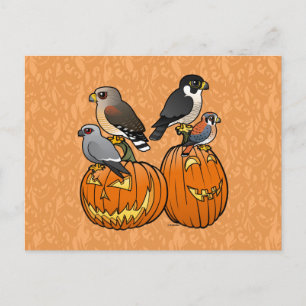 Cartão Postal Raptores Birdorable em Pumpkins