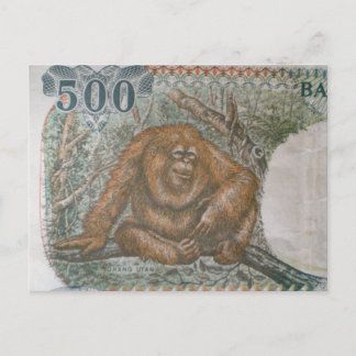 Cartão Postal Rare Orangutan Limited Edition
