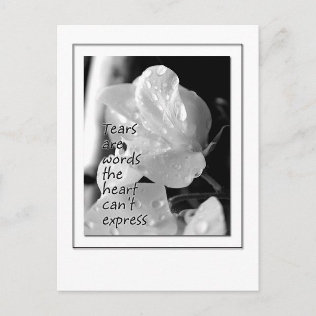 Cartão Postal Rasgos (Frente)