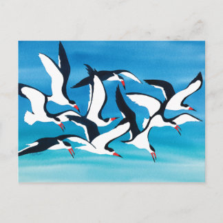 Cartão Postal Raspando a Superfície