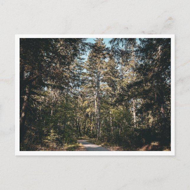 Cartão Postal Rastreio (Frente)