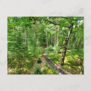 Cartão Postal Rastreio da Natureza Midland Michigan