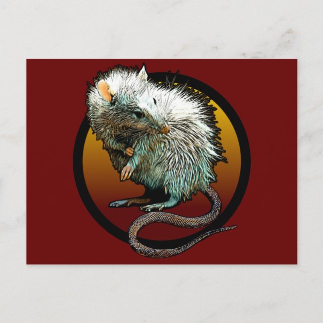 Cartão Postal Rat Boi (Frente)