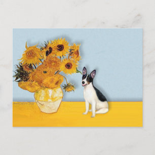 Cartão Postal Rat Terrier - Girassóis