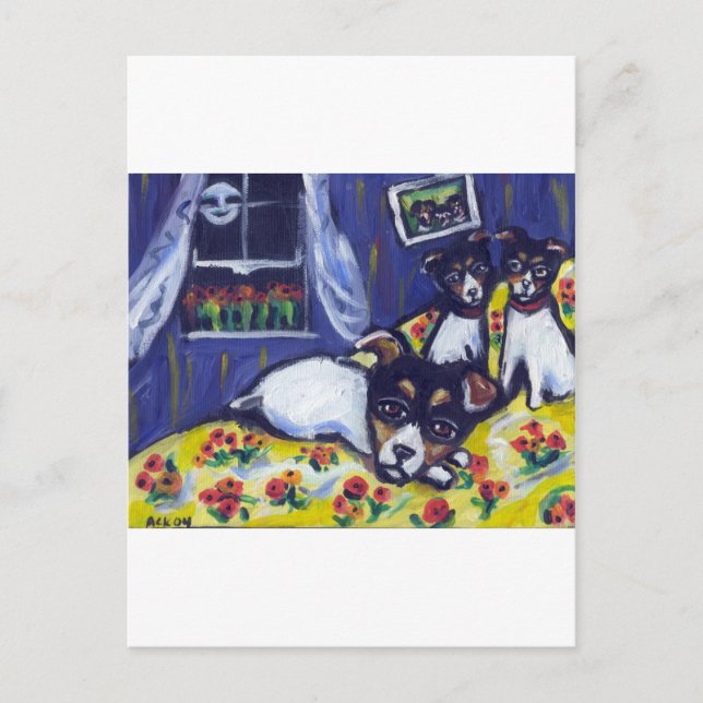 Cartão Postal Rat terrier loungers (Frente)