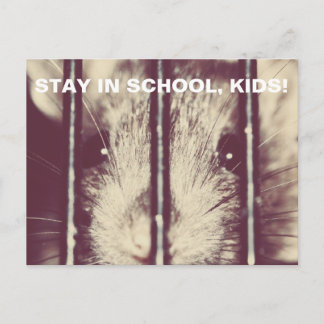 Cartão Postal Rato Adorável Engraçado na Prisão