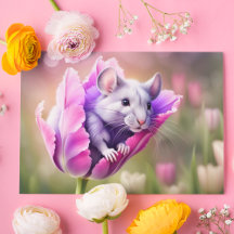Rato Caprichoso no Refúgio de Tulipas