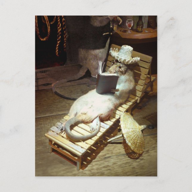 Cartão Postal Rato de água aproveitando a vida do navio (Frente)