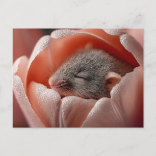 Cartão Postal Rato de Colheita Adormecido Dentro de uma Tulipa C