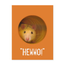 Rato de ilusão óptica engraçado no buraco