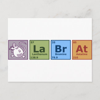 Cartão Postal Rato de laboratório