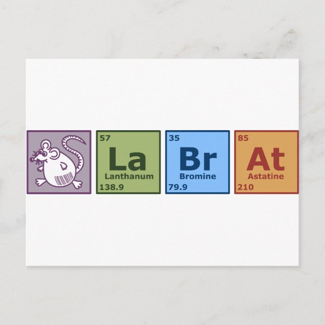 Cartão Postal Rato de laboratório (Frente)