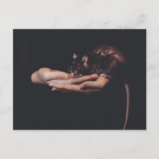 Cartão Postal Rato na mão...