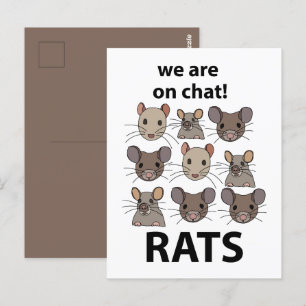 Cartão Postal Ratos Animal Nós Estamos No Chat Ratos Engraçados