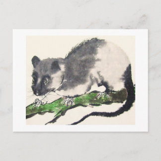 Cartão Postal Ratte No. 09 * Rat * Ratten-Postkarten * Rat-Postc