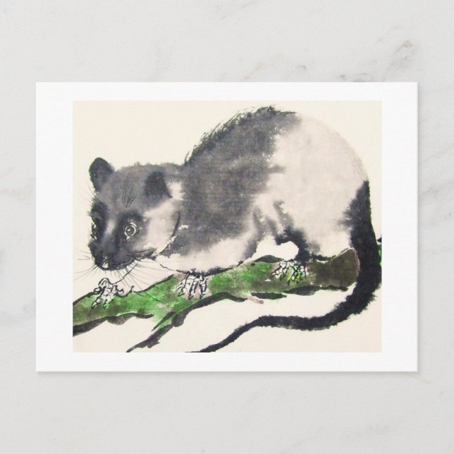 Cartão Postal Ratte No. 09 * Rat * Ratten-Postkarten * Rat-Postc (Frente)