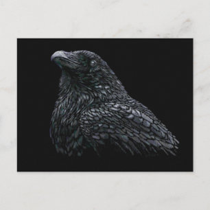 Cartão Postal Raven