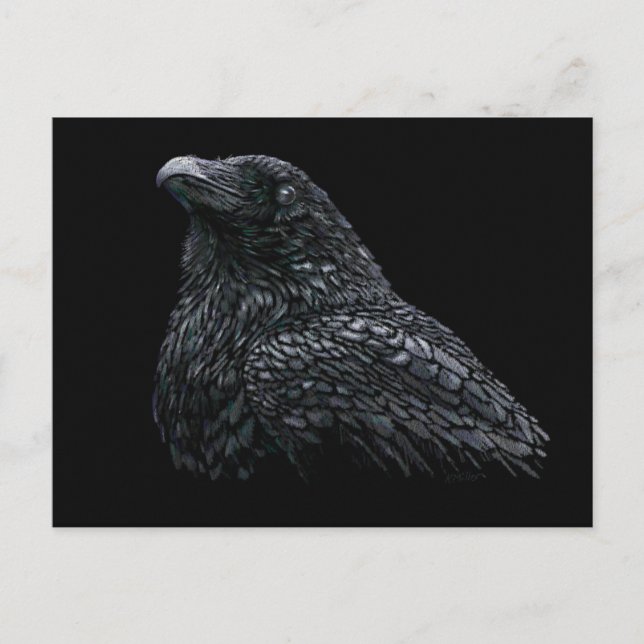 Cartão Postal Raven (Frente)